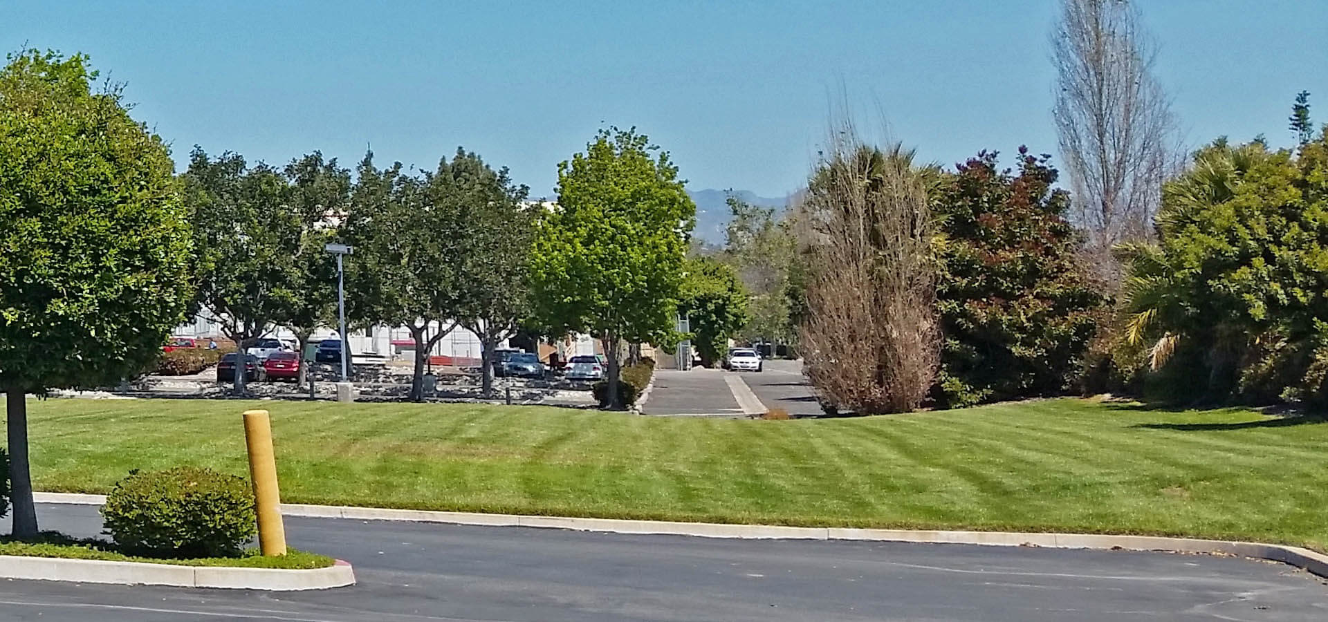 Commercial Lawn Maintenance