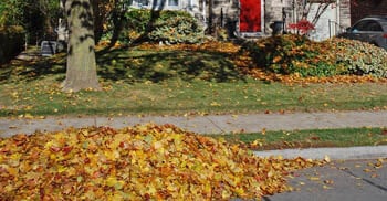 Spring and Fall Yard Clean Up Services