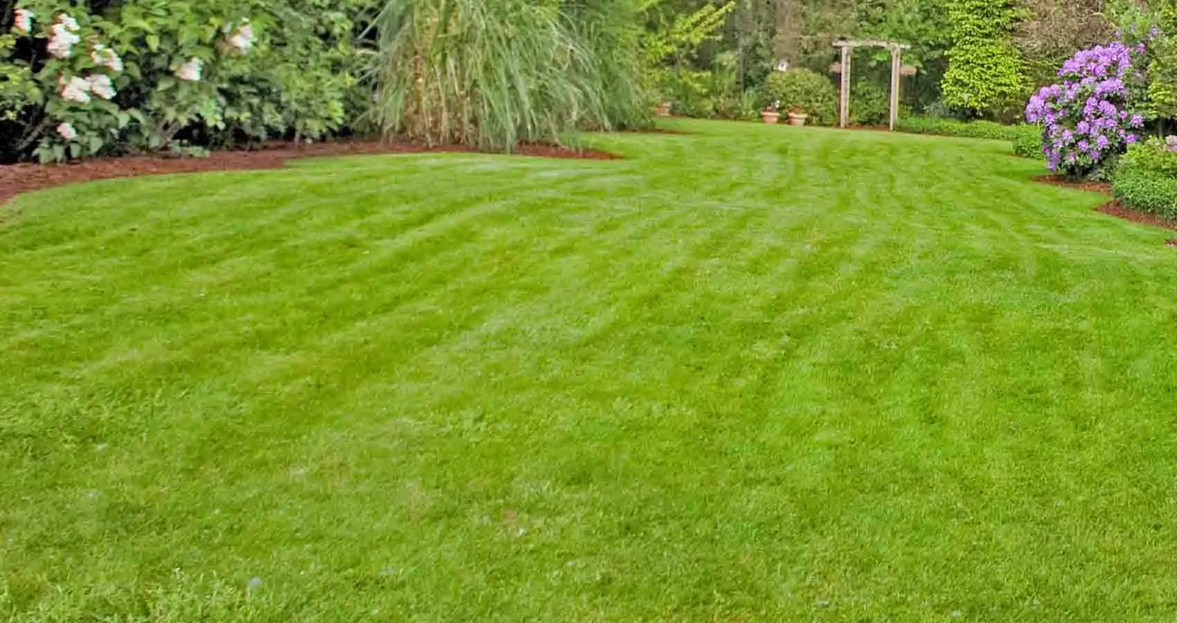 Lawn Care and Maintenance Blairstown, NJ
