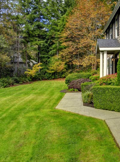 Lawn Mowing and Maintenance Service