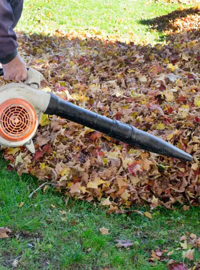 Leaf Blowing